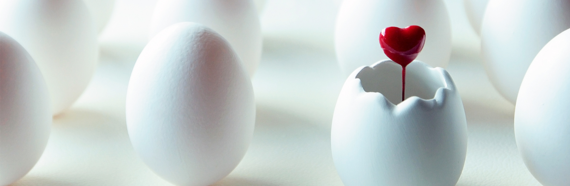 出張レッスン、コラボレーション企画